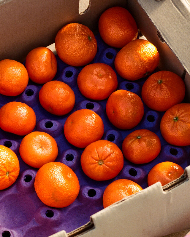 Cingari Family Markets