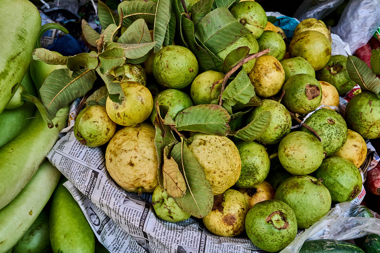 Financial Times HTSI, Shakti Prana