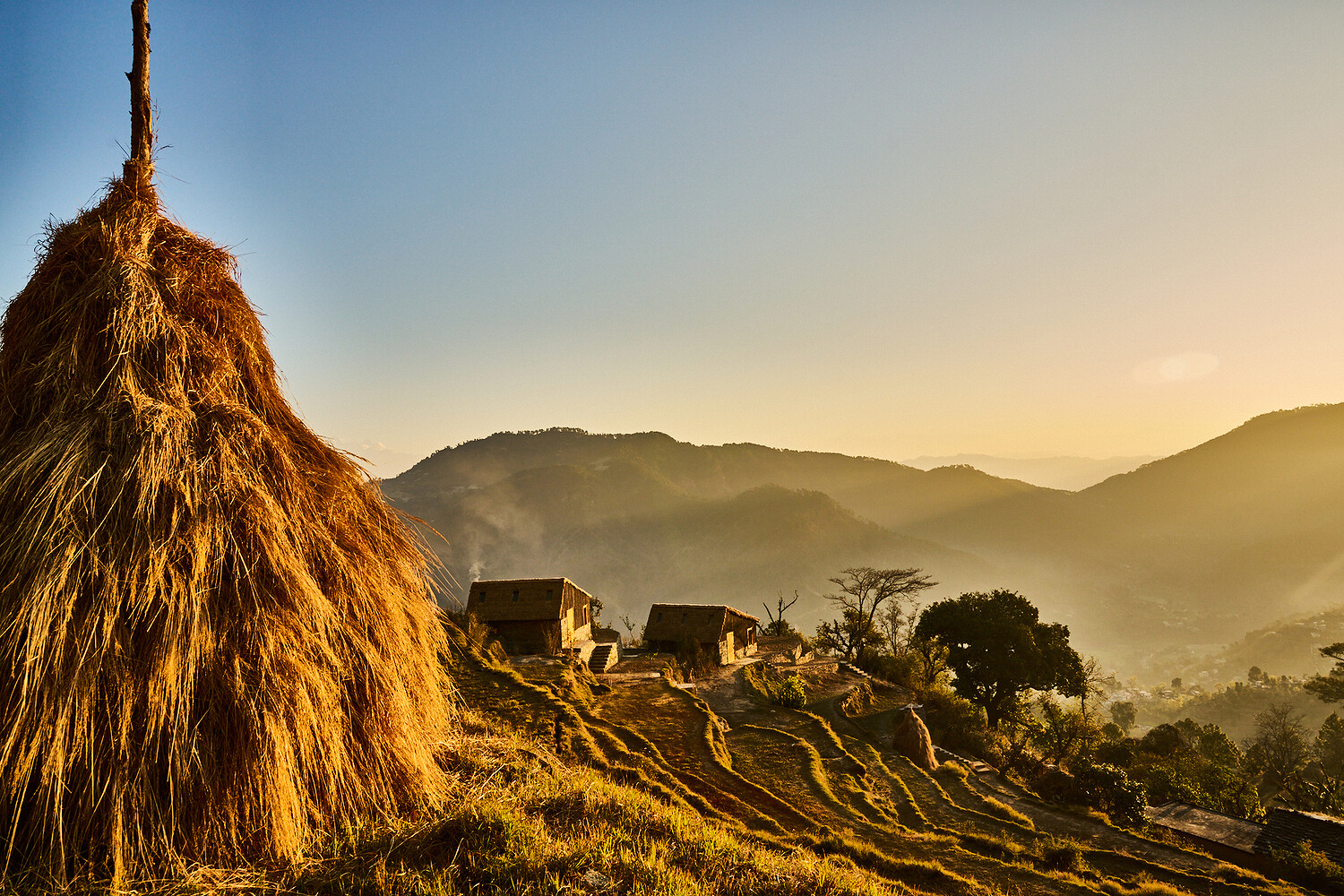 Financial Times HTSI, Shakti Prana