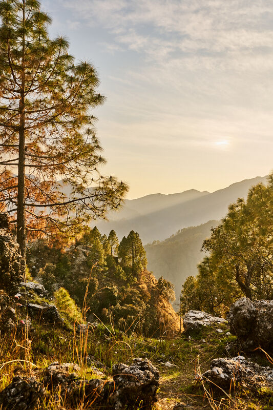 Financial Times HTSI, Shakti Prana