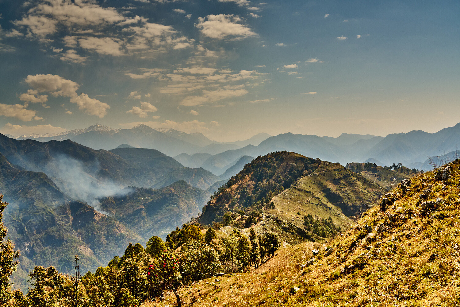 Financial Times HTSI, Shakti Prana