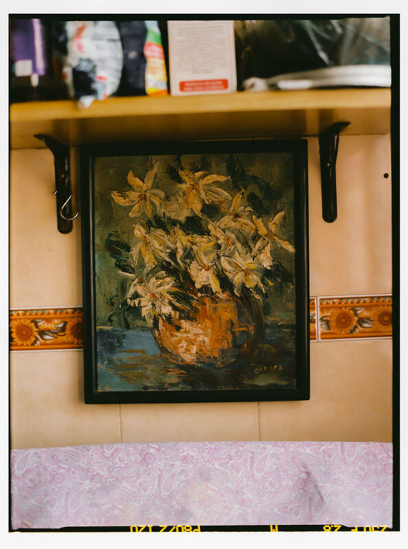 Rosa Gurrola, Neptune Papers