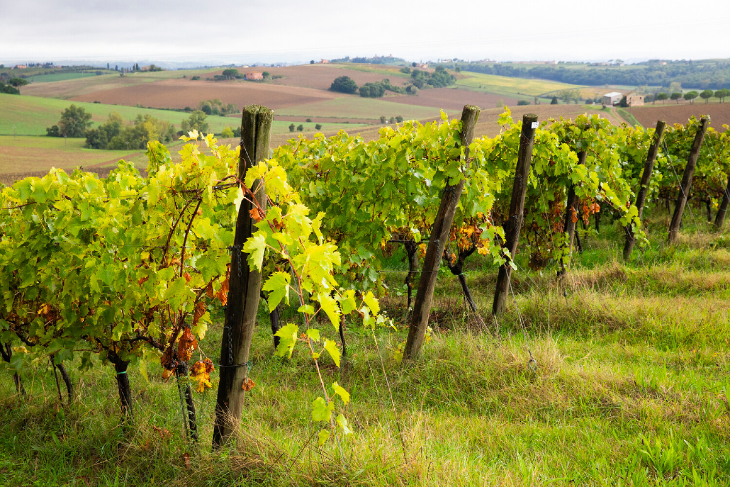 Exclusive Resorts Italy