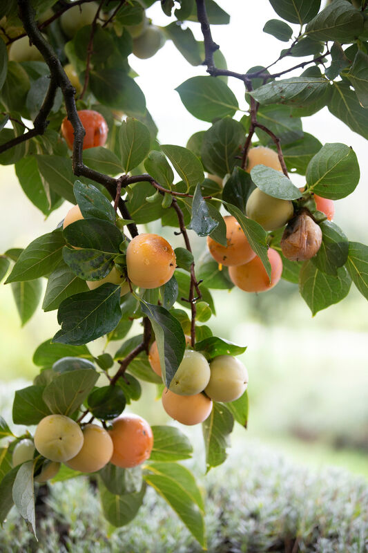 Exclusive Resorts Italy