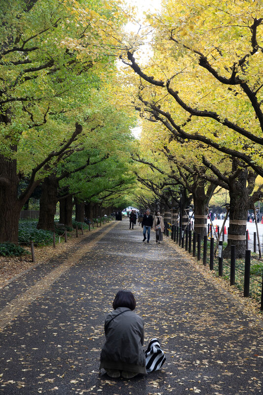 Exclusive Resorts Japan