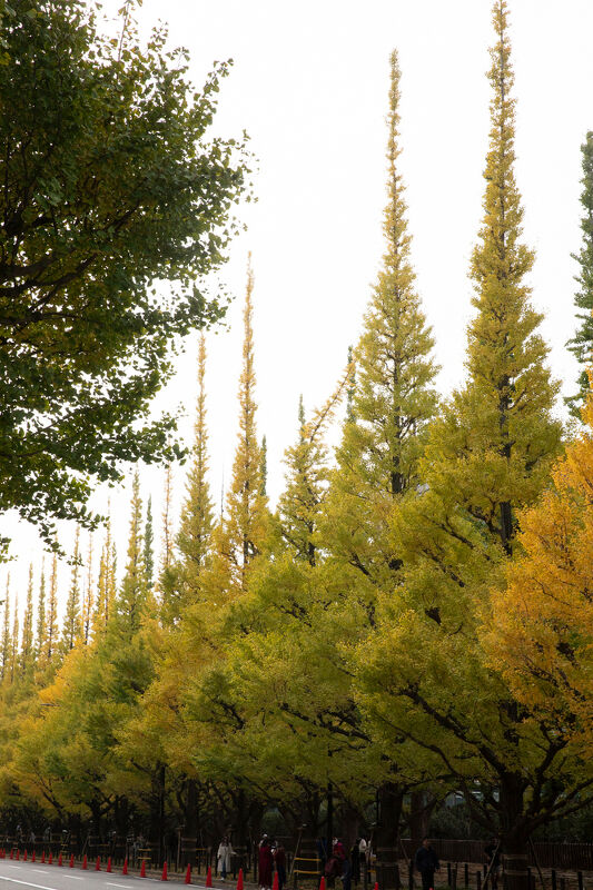 Exclusive Resorts Japan