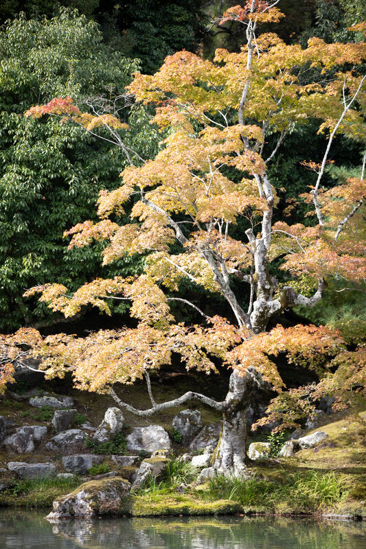 Exclusive Resorts Japan