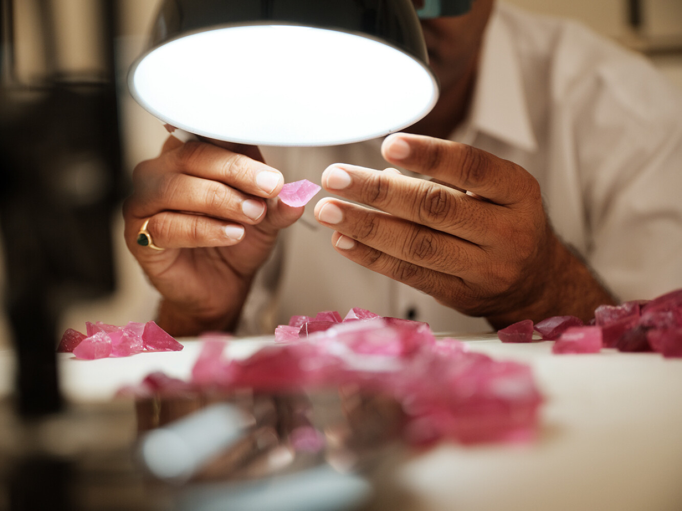 National Geographic x Bvlgari