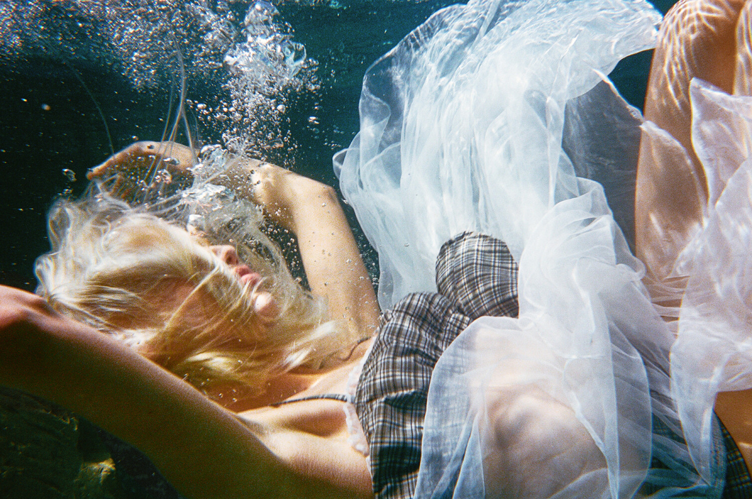 Friends With Animals