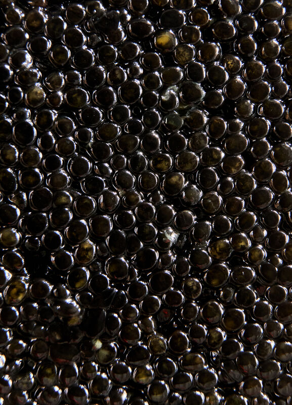 Russ & Daughters: 100 Years of Appetizing