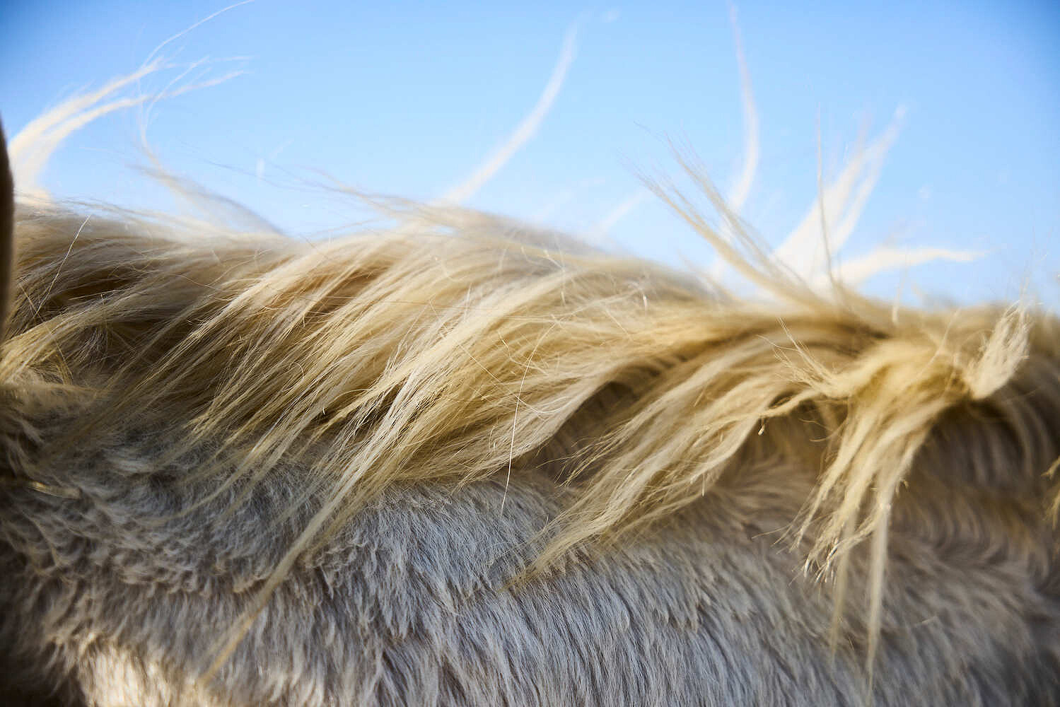 Texas: Spirit & Soul, National Geographic