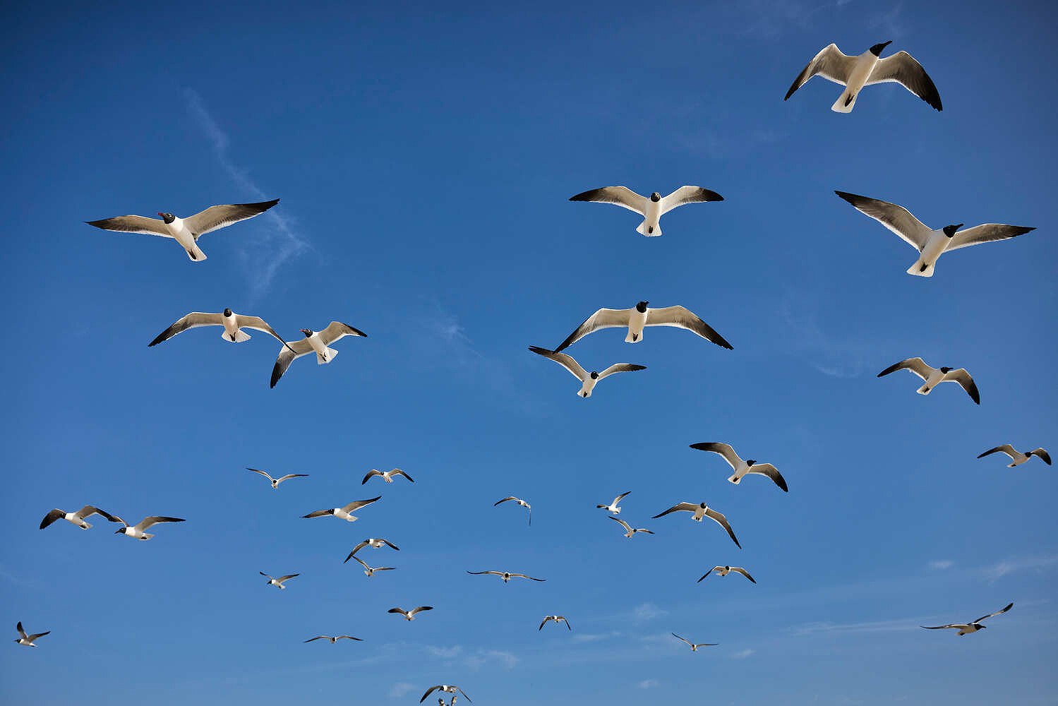 Texas: Spirit & Soul, National Geographic
