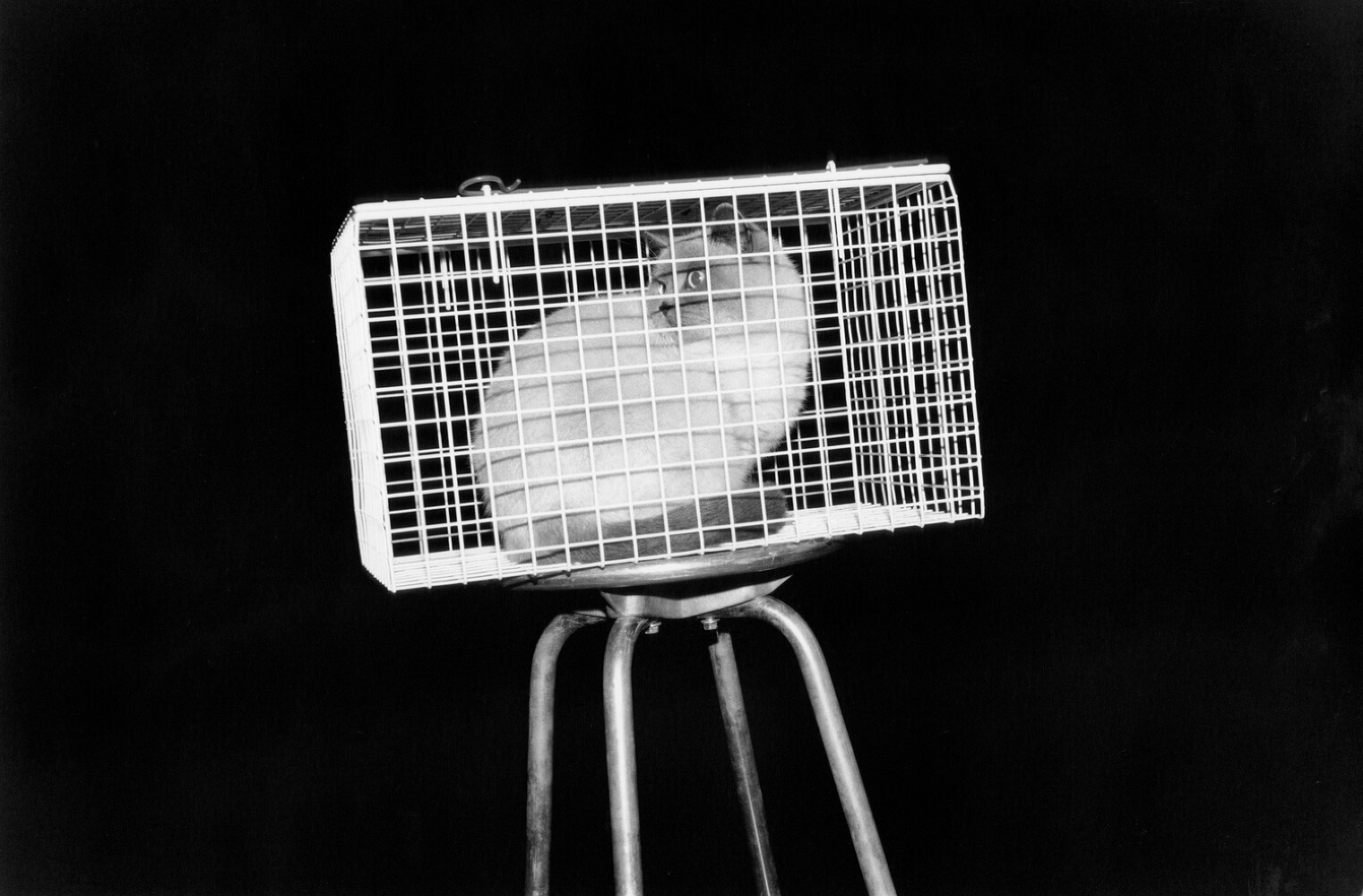 ‘Reconstruction’ for Noon Magazine