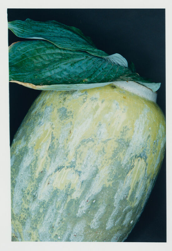 Middle Plane Magazine