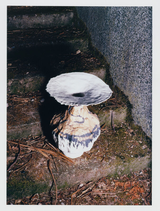 Middle Plane Magazine