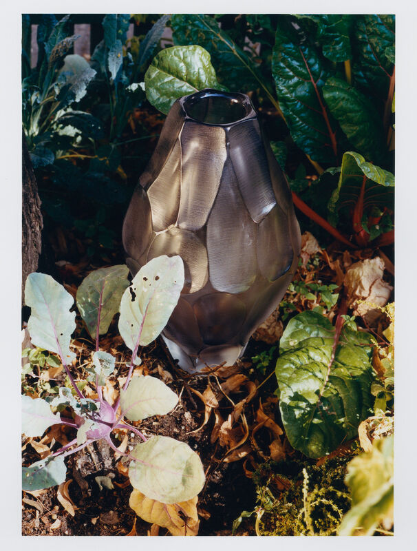 Middle Plane Magazine