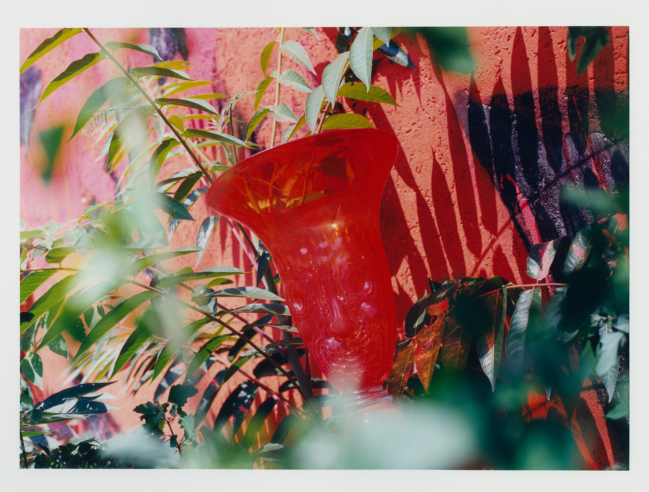 Middle Plane Magazine