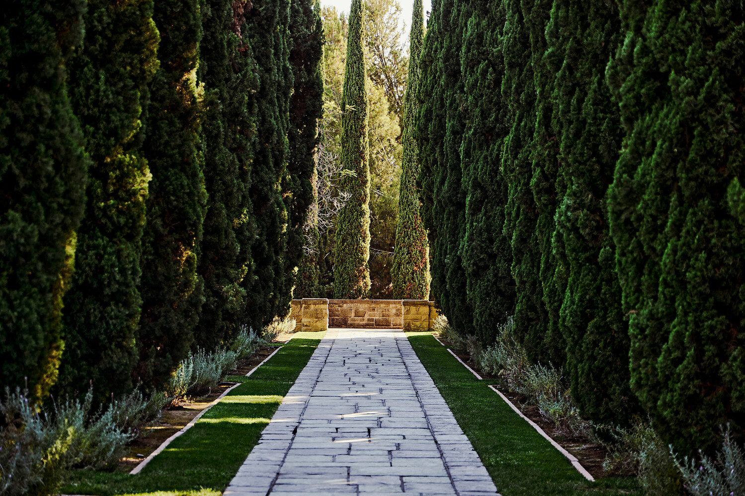 Beverly Hills Conference & Visitor Bureau