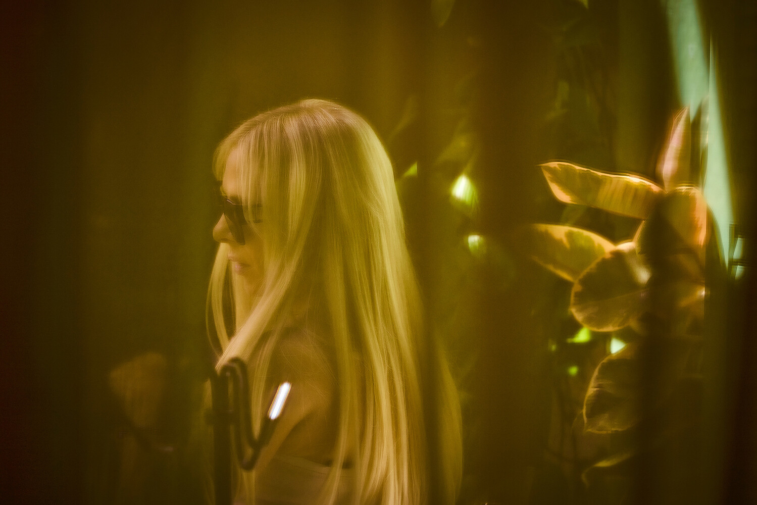 Beverly Hills Conference & Visitor Bureau