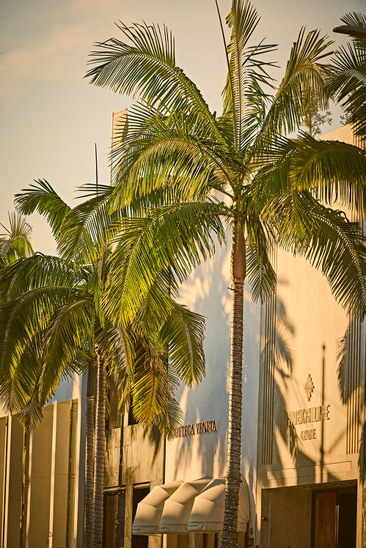 Beverly Hills Conference & Visitor Bureau