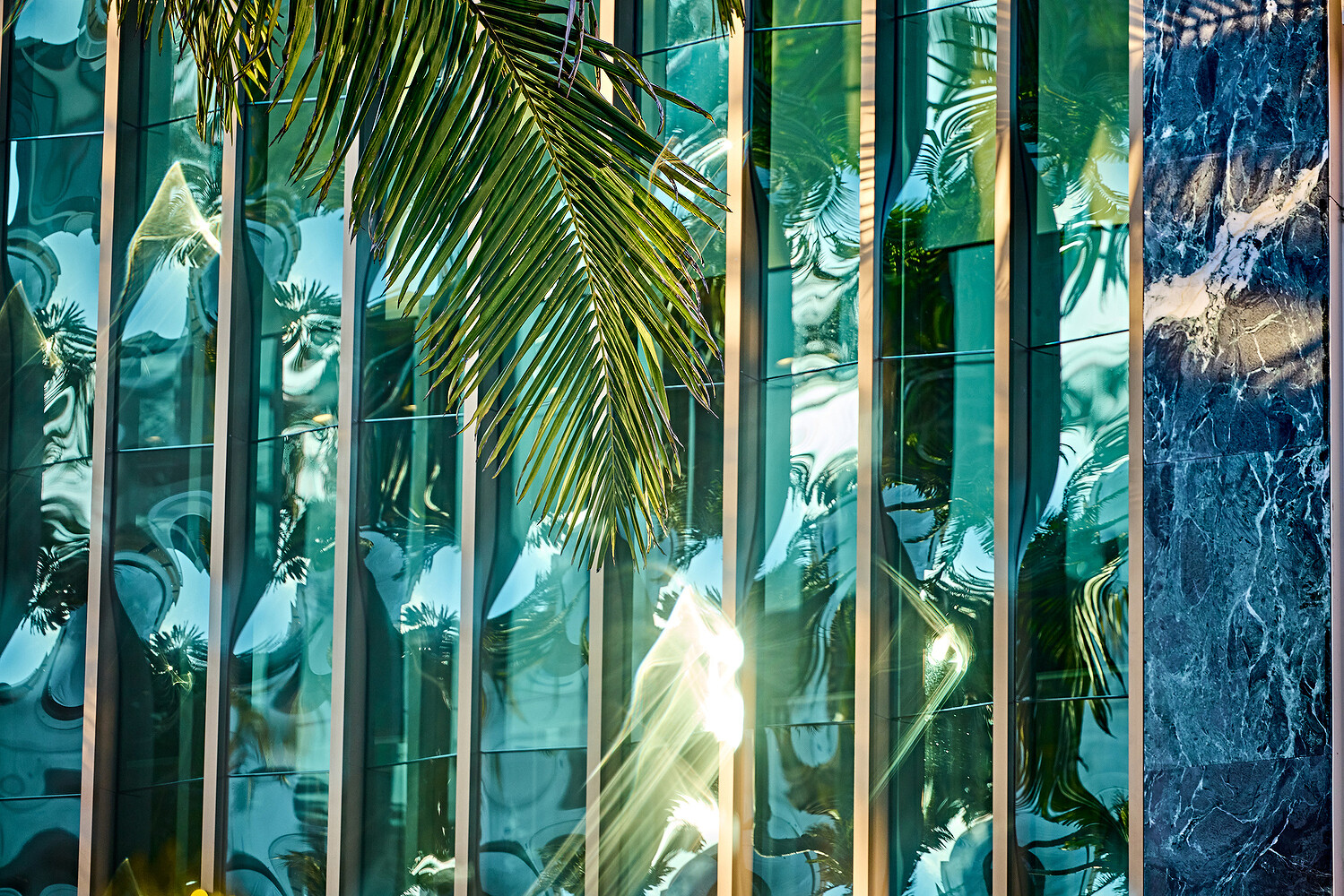 Beverly Hills Conference & Visitor Bureau