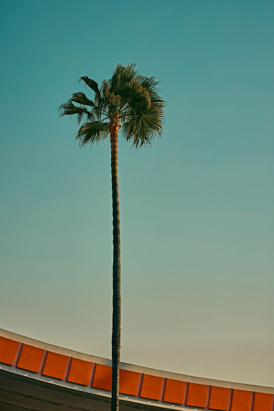 Beverly Hills Conference & Visitor Bureau