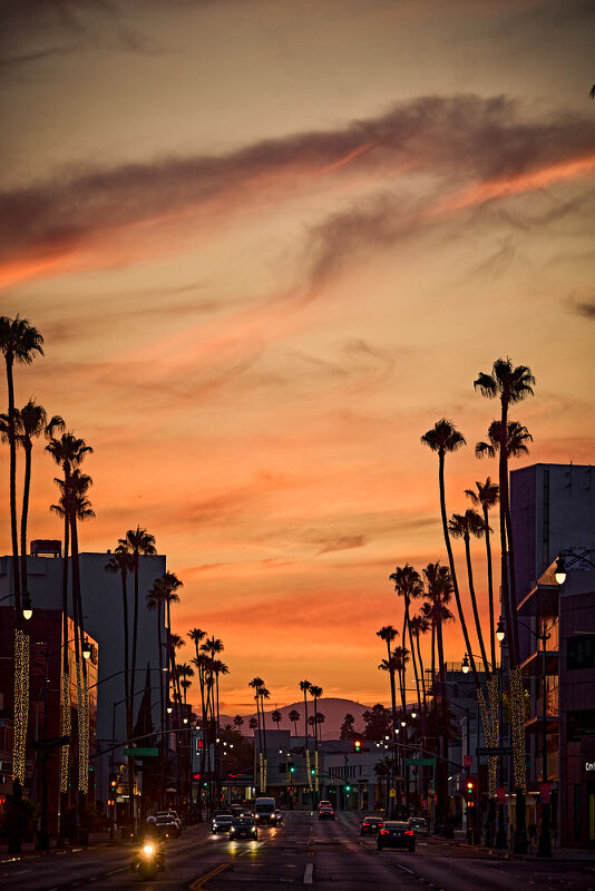 Beverly Hills Conference & Visitor Bureau