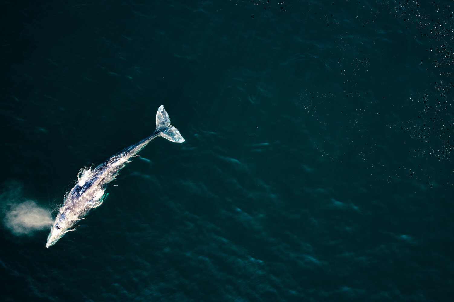 Conde Nast Traveller