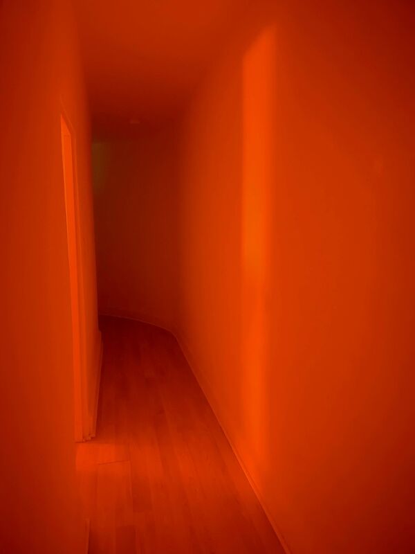 Diary, #ShotOniPhone