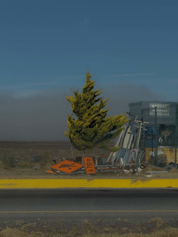 Diary, #ShotOniPhone