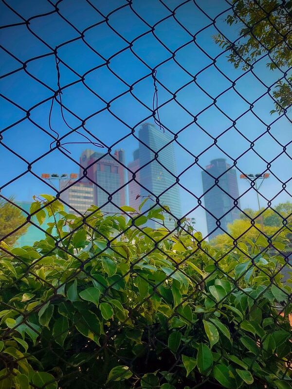 Diary, #ShotOniPhone