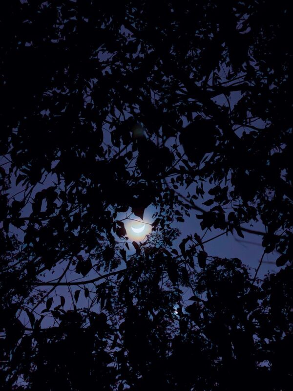 Diary, #ShotOniPhone