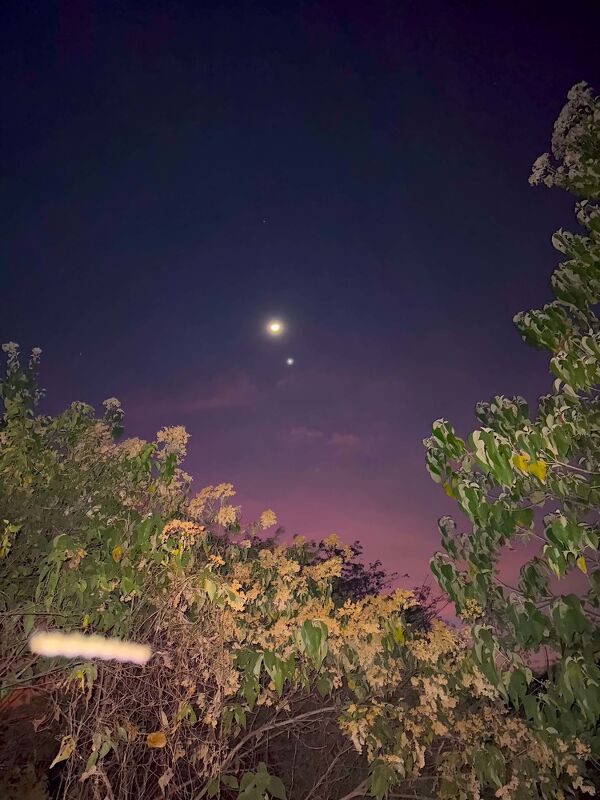 Diary, #ShotOniPhone