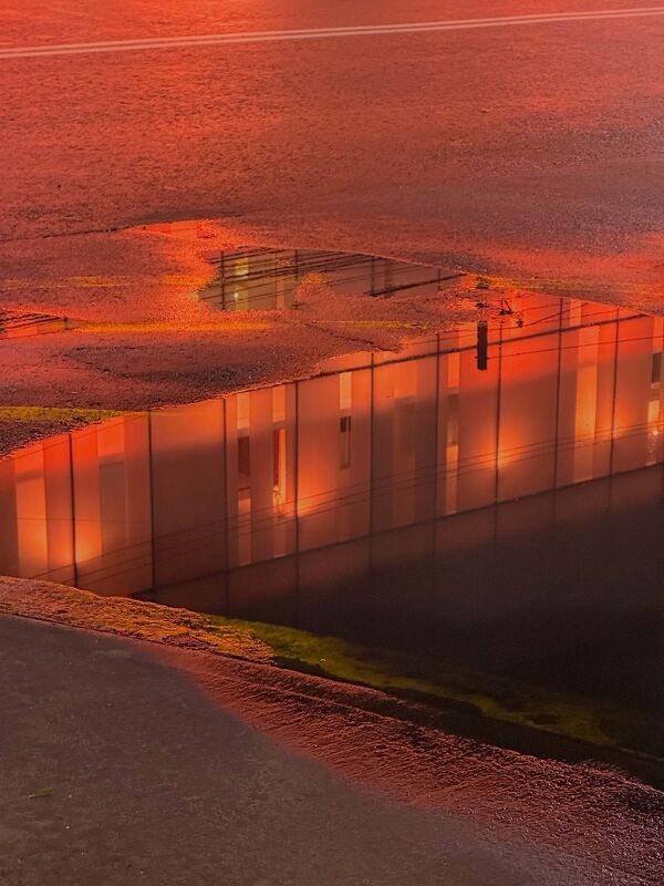 Diary, #ShotOniPhone