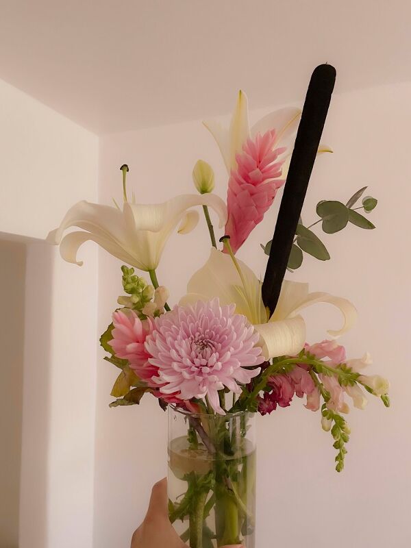 Diary, #ShotOniPhone