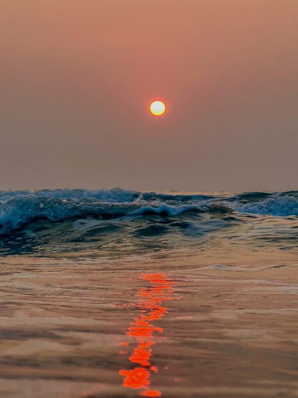 Diary, #ShotOniPhone