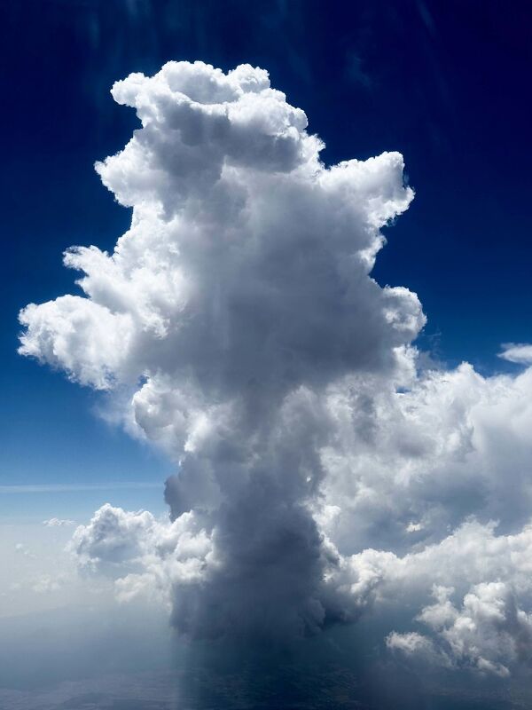 Diary, #ShotOniPhone