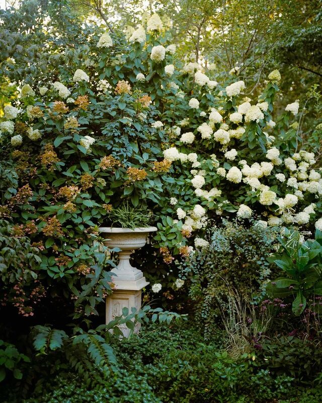 Martin Bourne, T Magazine