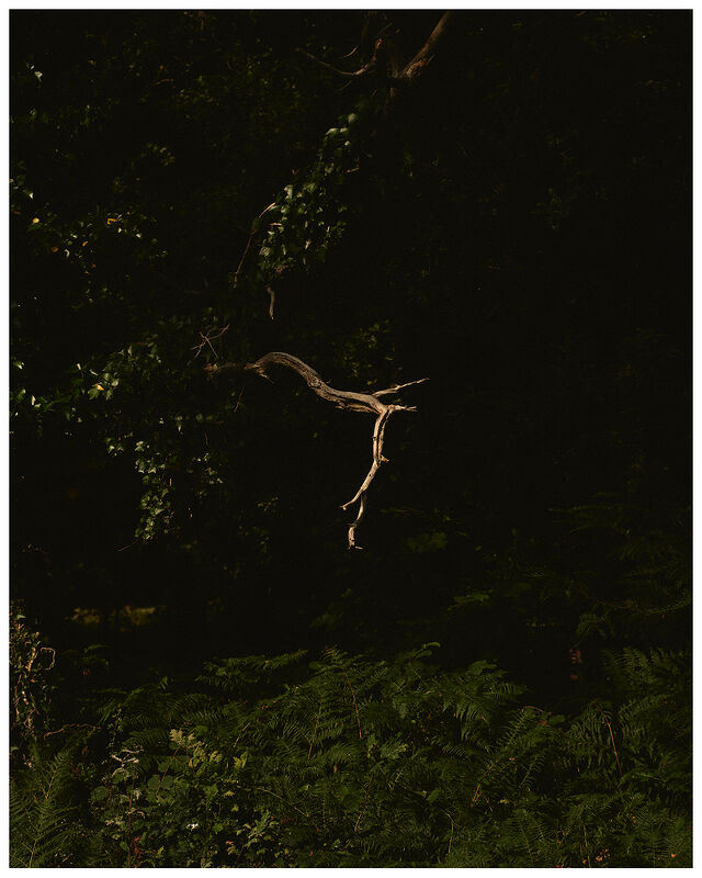 Holiday Magazine, Castle Drogo