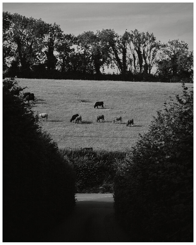 Holiday Magazine, Castle Drogo