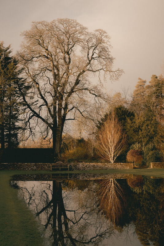 Finn Beales