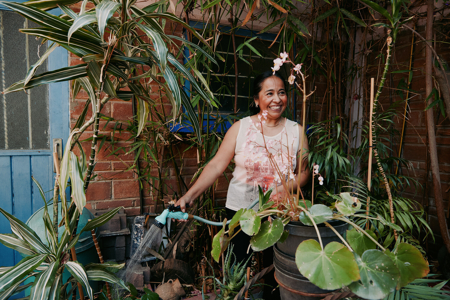 The Art of Care, Proyectos Publicos Mexico City