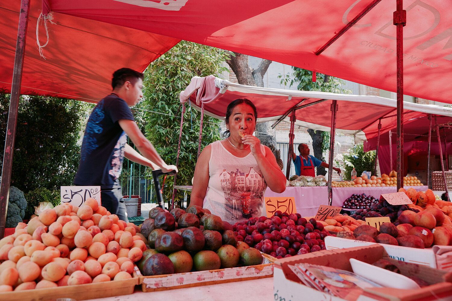 The Art of Care, Proyectos Publicos Mexico City