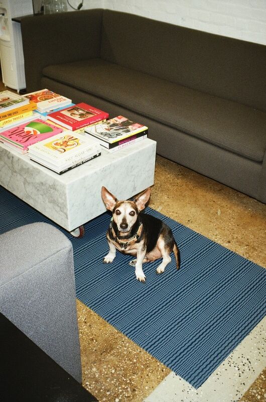 Sophia  Eleni  Pappas