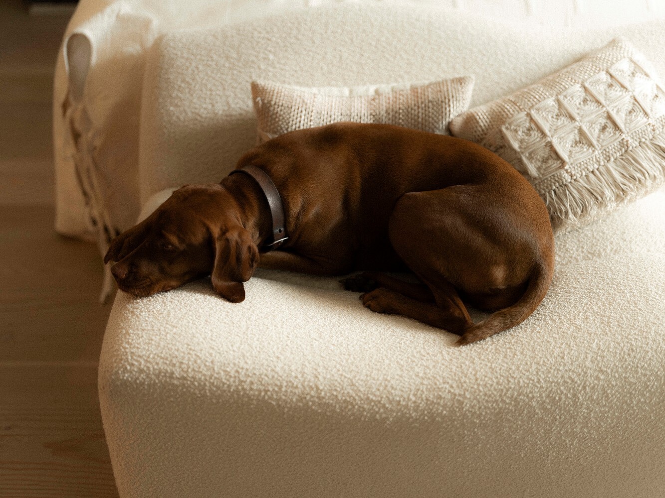 Ulla Johnson, Financial Times 