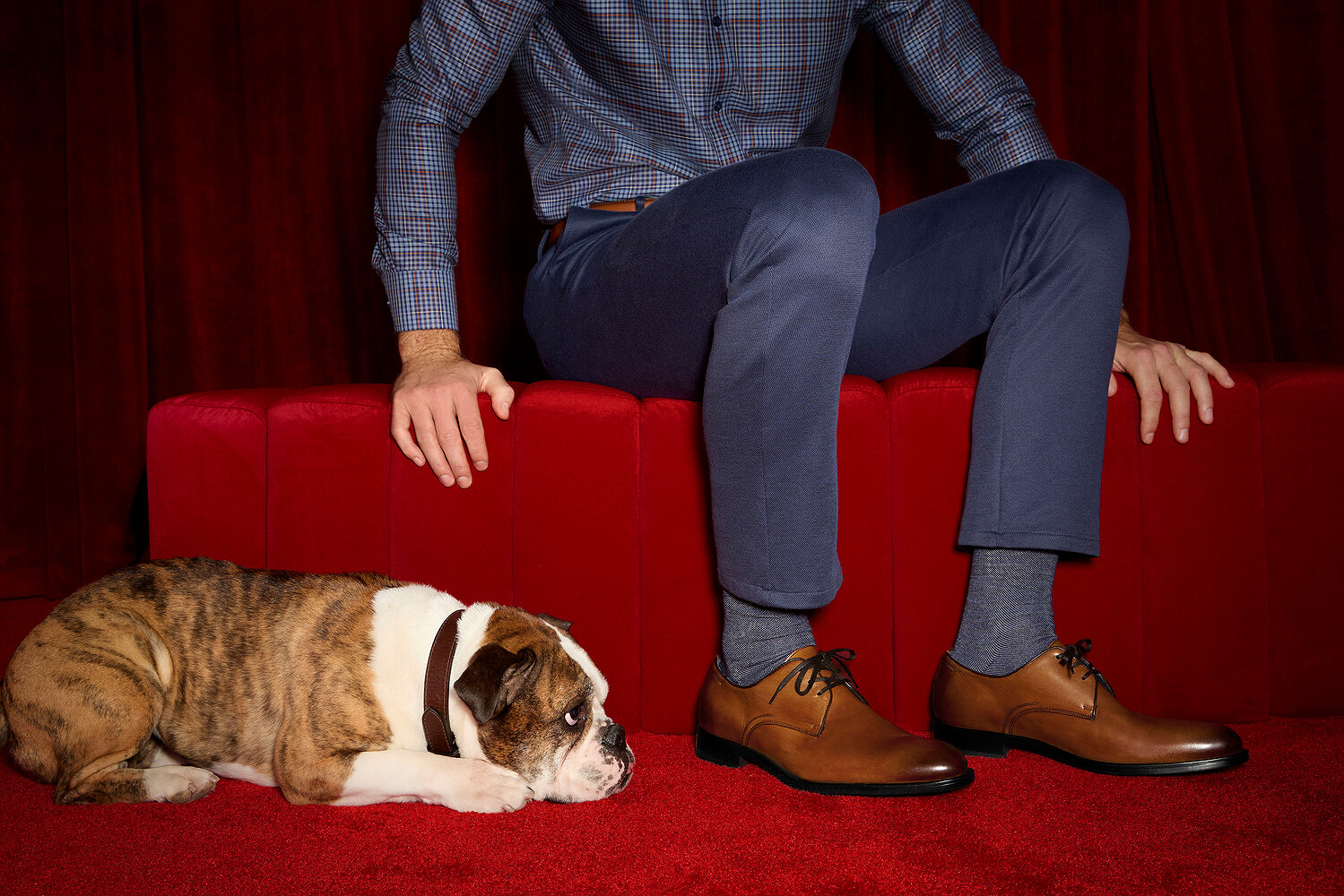 Johnston & Murphy x Westminster Kennel Club