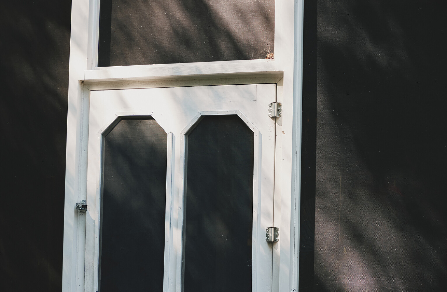 The Amazing Magazine, “Letters from Upstate”