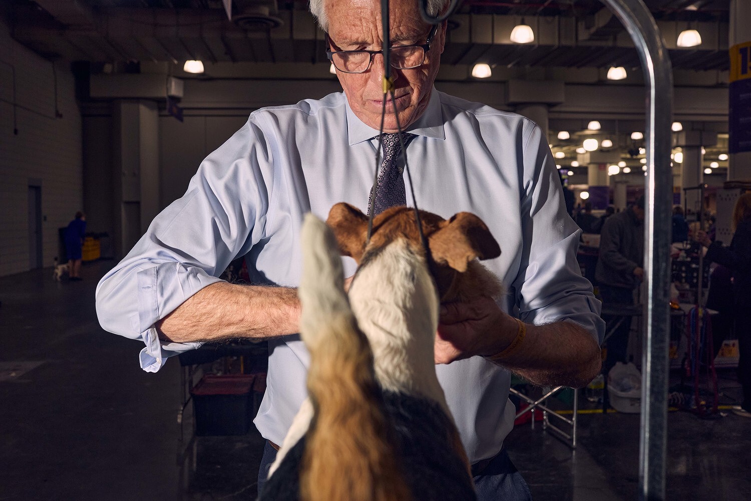Johnston & Murphy x Westminster Kennel Club