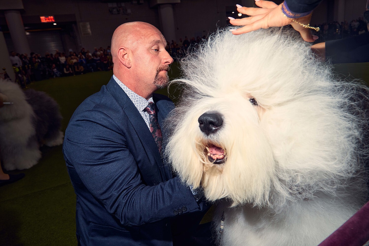 Johnston & Murphy x Westminster Kennel Club