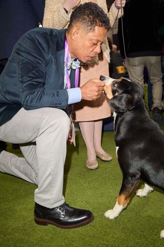 Johnston & Murphy x Westminster Kennel Club